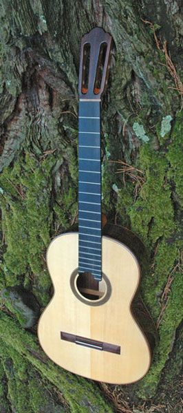 guitare de luthier Jean-Marc De Beys